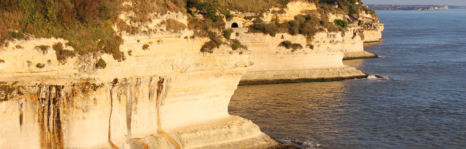The Cliffs of Meschers sur Gironde